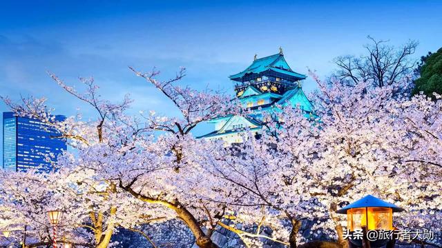 蒋方舟简介:蒋方舟究竟该不该去日本文化交流