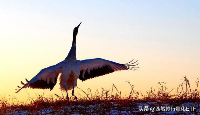 仅半年时间,坏消息接二连三,马云口碑下滑,该如何体面收场？