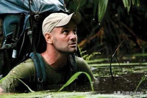水蚺蛇图片:世界最大的蛇水蚺视频 亚马孙热带雨林里最可怕的动物是蟒蛇吗？