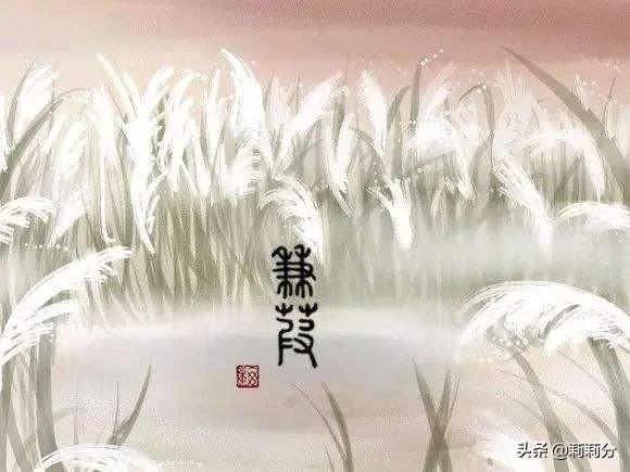 请以《诗经》具体作品为例,解释兴观群怨的意义？有什么意义呢？