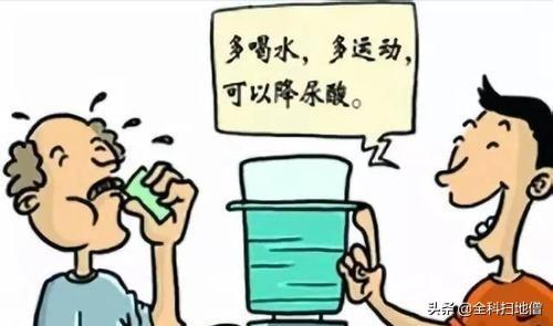 痛风能喝菊花茶吗,菊花能抑制嘌呤的合成吗？