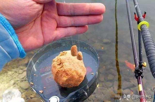 魔兽世界斧鱼鱼饵:鱼晚上是怎么找到鱼饵的？