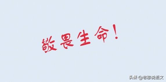 魔术事故:卫宫士郎在成年后做了什么能够成为英雄