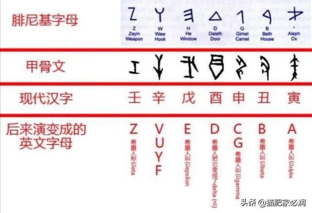 头条问答 阿拉伯数字 英文字母 汉字在世界出现的先后顺序是怎样的 为什么 猫肥家必润的回答 0赞