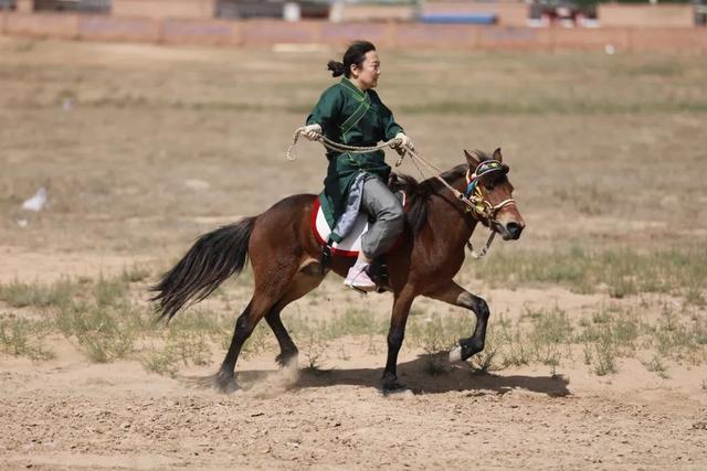 如果战马用骒马,儿马子,走马的话,是不是不太好呢?(14个回答)
