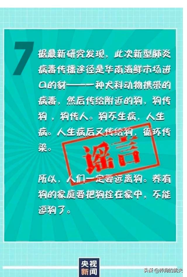 泰州宠物疾病发生调查报告:现在小区好多宠物猫狗，它们感染了怎么弄，又不测体温？