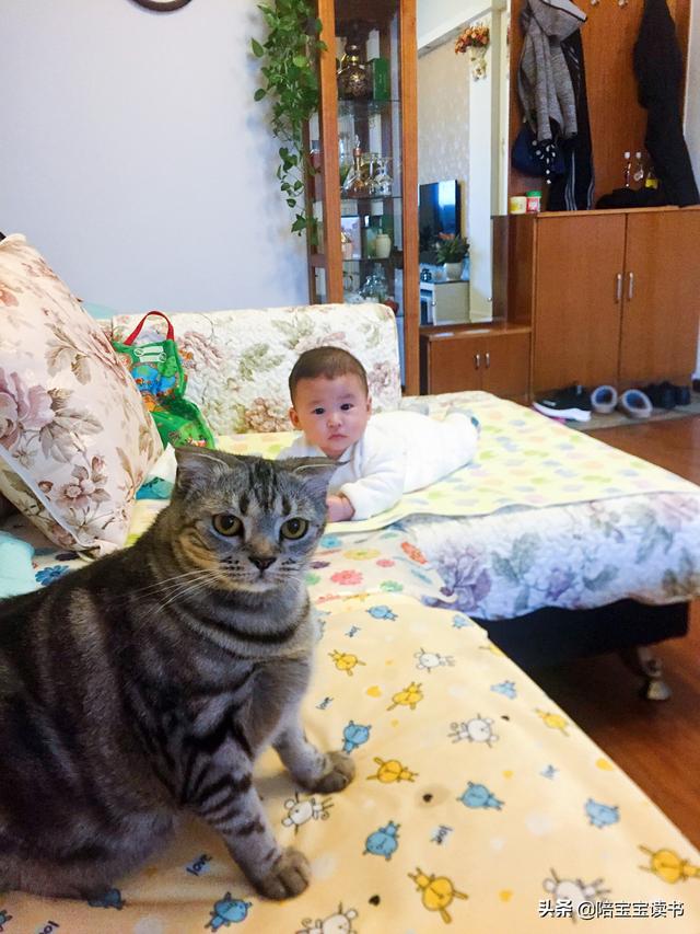 带三、四个月的婴儿要注意哪些事情？插图30