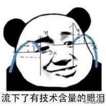 安哥拉兔子好养吗，白兔为什么很难养，要怎么养