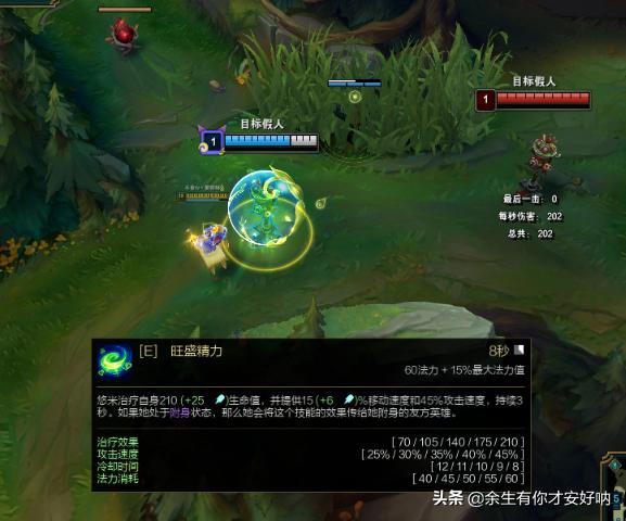 减肥猫技能表:猫咪会不会意识到自己很胖需要减肥呢？