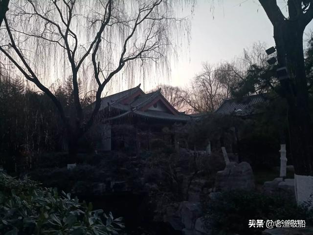 回到现代:在动画中，犬夜叉多次回到现代日本，难道街上没有摄像头吗？