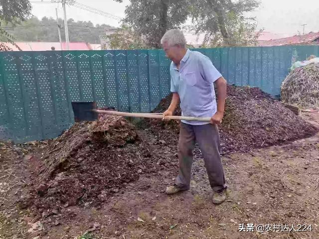 兔粪发酵:兔子排泄物可以直接当肥料吗？