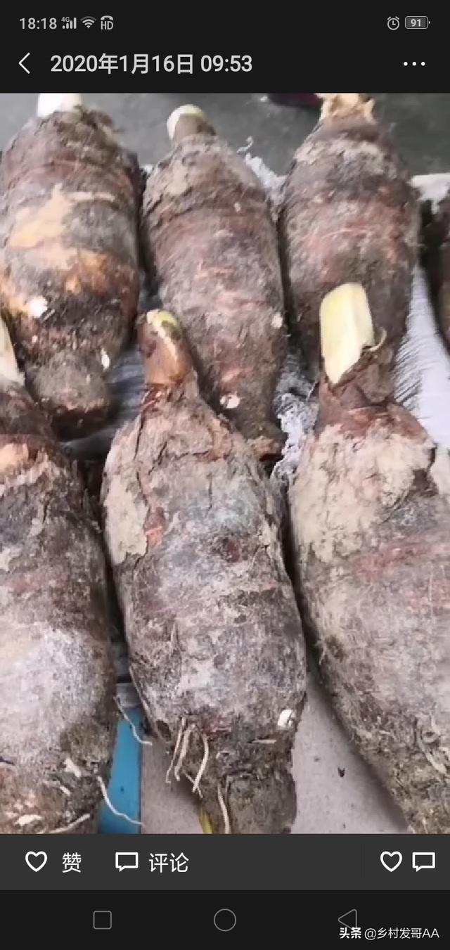 种植业什么前景最好？