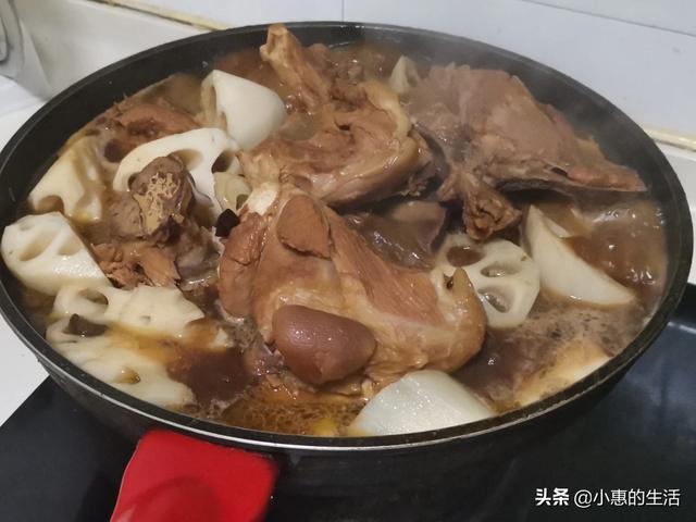 河南爆红小博美闹闹:今年的除夕夜你是哪里过的？有家人或者爱人陪伴吗？