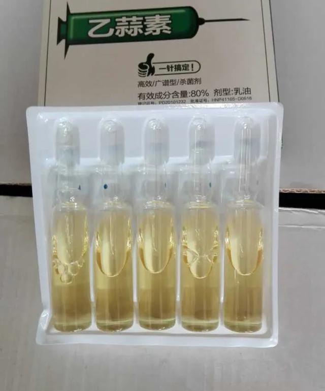 锈壁虱用何种药:茶花叶片背面长锈，叶片往下翻是怎么回事？