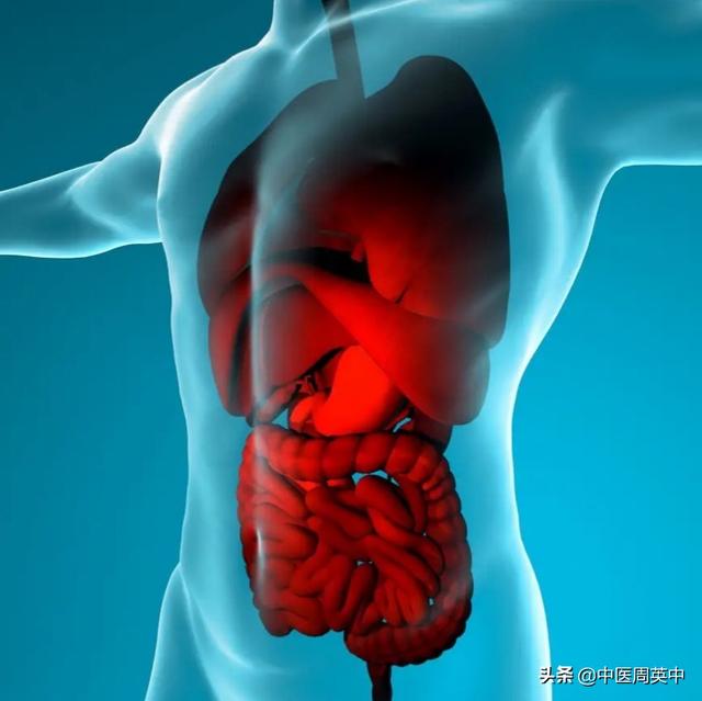 脾脏在五脏中是最受累的一员.