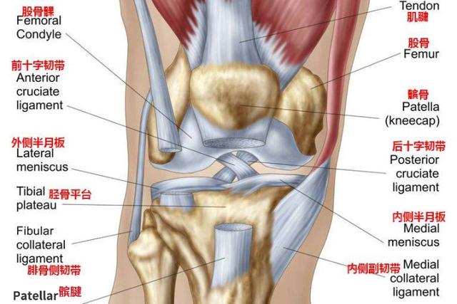 魔兽世界战斗宠物绷带误删:剖腹产的后遗症你们有吗？