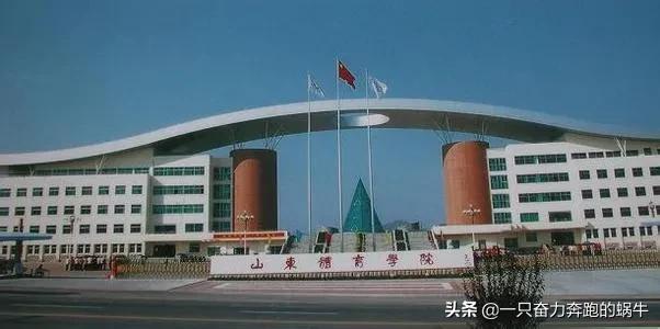 山东水利职业学院5,日照职业技术学院6,鲁南经贸学院(原山东外国语职