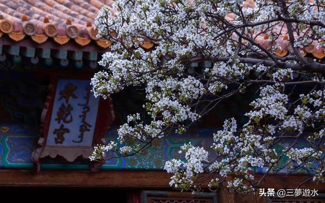 故宫景仁宫灵异事件:三宫六院分别是哪三宫，哪六院？