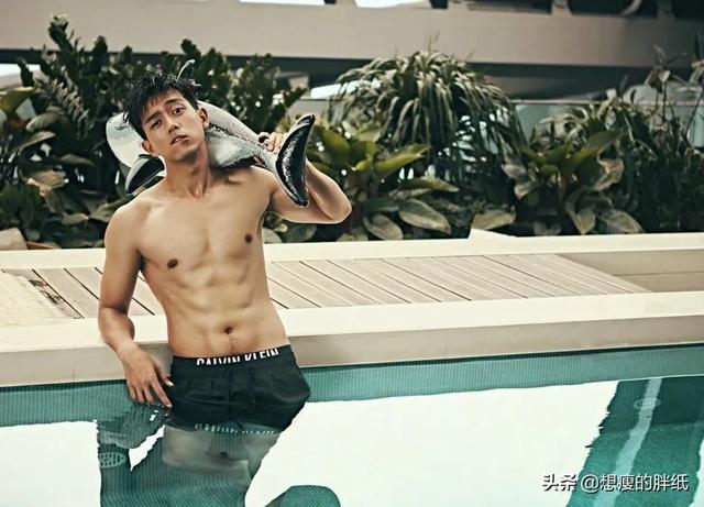 杨紫男朋友是谁:如果要选一个男演员做杨紫的男朋友，你会选谁？