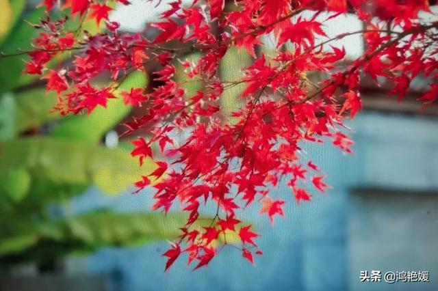 我们经常刷“头条”和“<a href=https://maguai.com/list/256-0-0.html target=_blank class=infotextkey><a href=https://maguai.com/list/256-0-0.html target=_blank class=infotextkey>朋友圈</a></a>”，你从中得到了什么