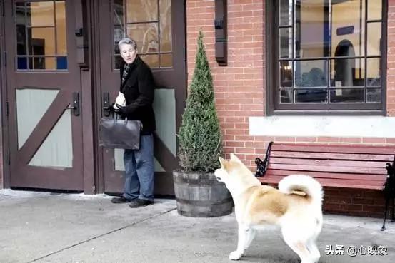 忠犬小八电影:如何评价电影《忠犬八公》？