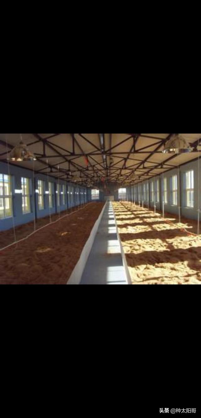 二十四山最好的吉向,什么朝向建猪舍最好？为什么？