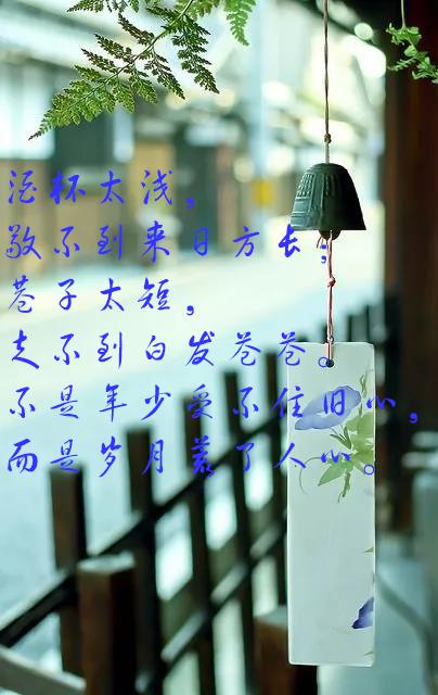 晚上发朋友圈的短句子:有简短走心的句子分享吗？