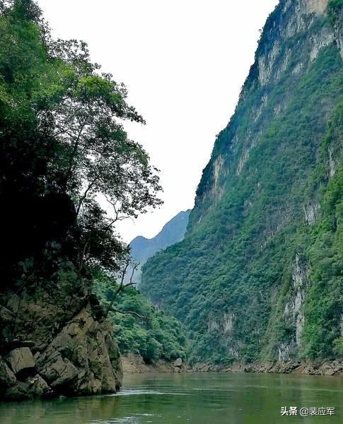 中国的水怪有哪些，牂牁江水怪是什么大型水生物