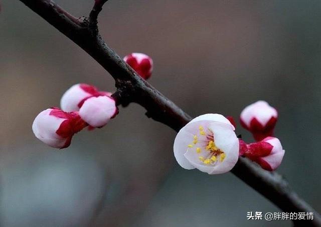 带有人生哲理的句子:给我点人生哲理的句子还有为人处事的一些话，越详细越好？(只有为人母才懂得的句子)