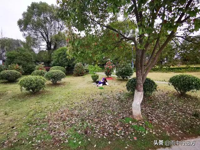 公園空曠人少,也別忘了戴口罩 ,疫情尚未結束,不能粗心大意