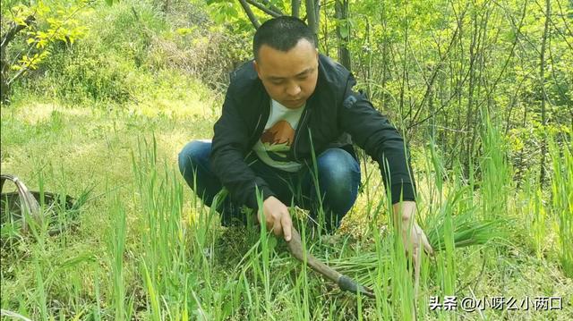 三农素材指的是哪些？