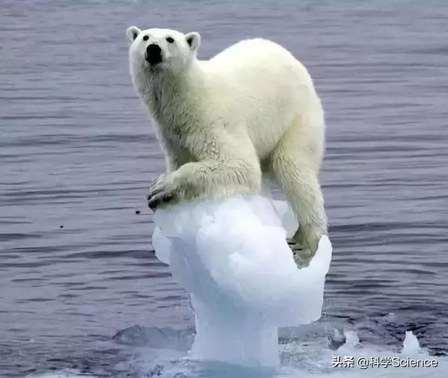 南北极融化了会发生什么事，如果南北极的冰川全部融化，人类会灭亡吗