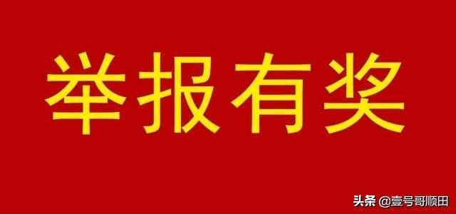 京广路隧道死亡人数造假，举报有奖，哪些部门有奖励，具体多少金额，都说说吧