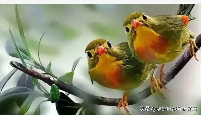 小学生恋爱:大家对现在一些小学生就开始谈恋爱有什么看法？