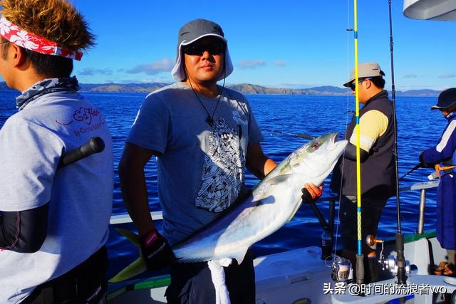 头条问答 海钓如何找点 78个回答