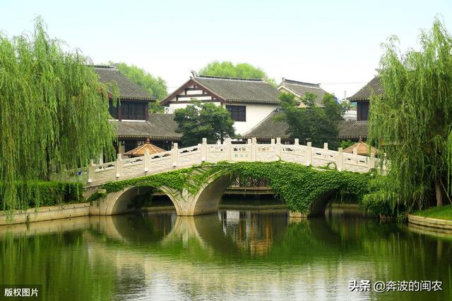 许世友简介:中国历史上姓许的名人有哪些？