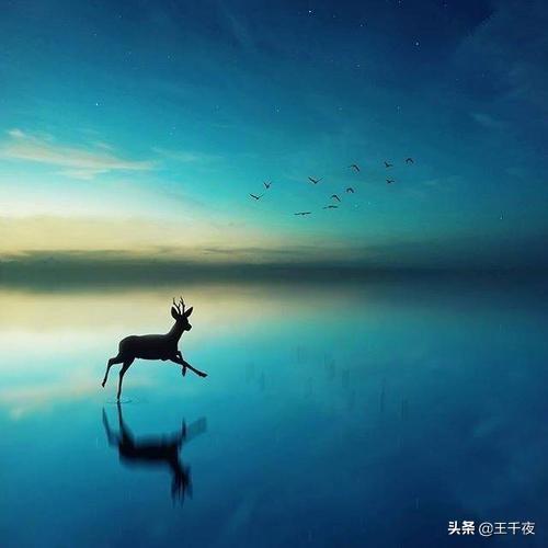 <a href=https://maguai.com/list/256-0-0.html target=_blank class=infotextkey>朋友圈</a>怎么发文字不会被折叠:微信<a href=https://maguai.com/list/256-0-0.html target=_blank class=infotextkey>朋友圈</a>被折叠的解决办法？
