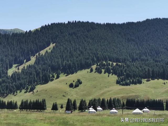 百科探秘藏獒之父视频:30万内什么越野车适合长途穿越西藏？