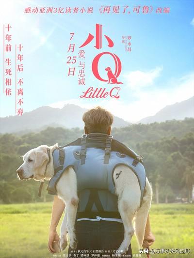 导盲犬小q高清壁纸:《小Q》真正的泪点在哪？引起我们共鸣的又是什么？ 导盲犬小q高清