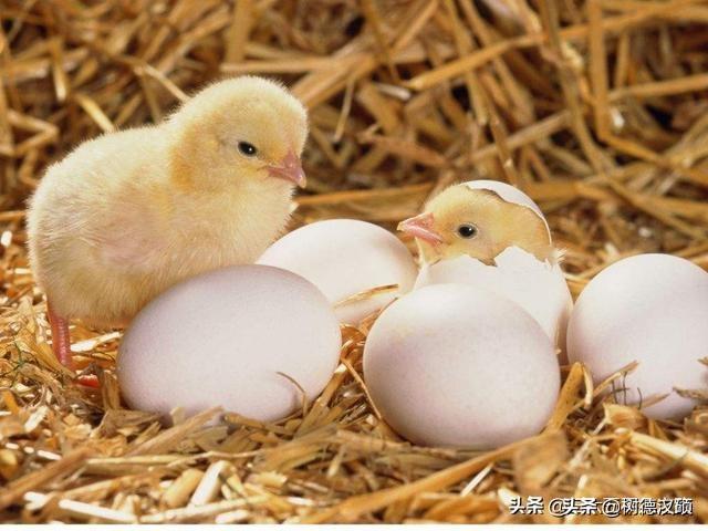 2020庚子易经预言:农历甲子循环福祸有没有科学依据