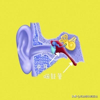为什么感冒耳朵会不舒服？是中耳炎吗？