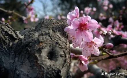 绝日是什么意思:腊月二十一为绝日，俗语：“绝日不回家，离日不结婚”，啥意思？