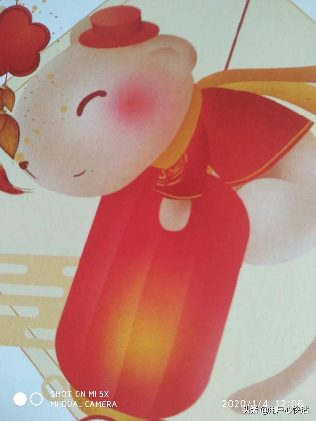 龙迷凤店:古人云：龙配龙！凤配凤！老鼠生来打地洞说的对吗