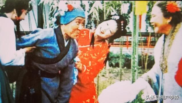 沙玉华:沙玉华和赵丽蓉，谁演《红楼梦》刘姥姥演的好
