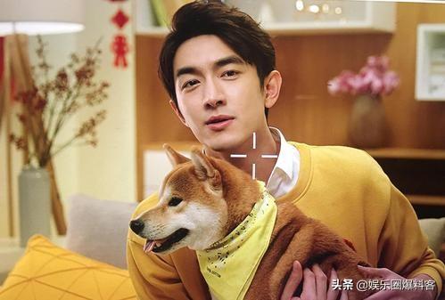 林更新与网红同游:林更新怎么了？他在怼谁？