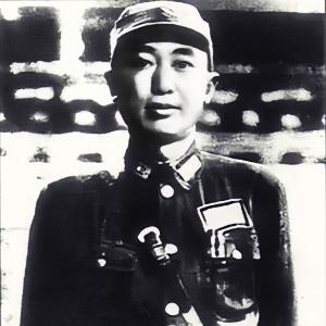 戴季陶:如何评价戴季陶所著的《日本论》？