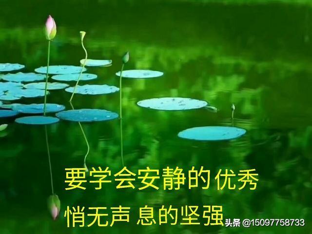 平静的生活图片带字图片