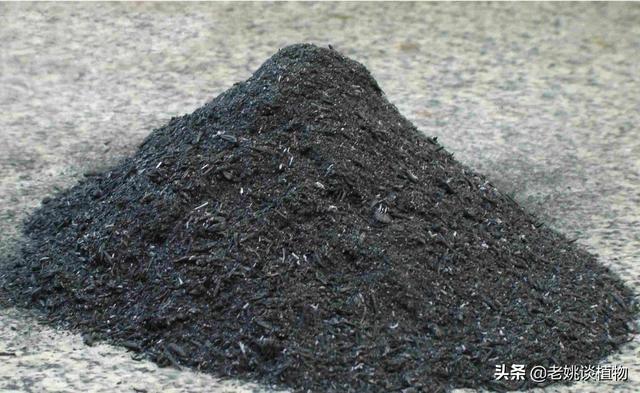 木炭是钾肥吗 家里烧劈柴灰是钾肥吗 头条问答