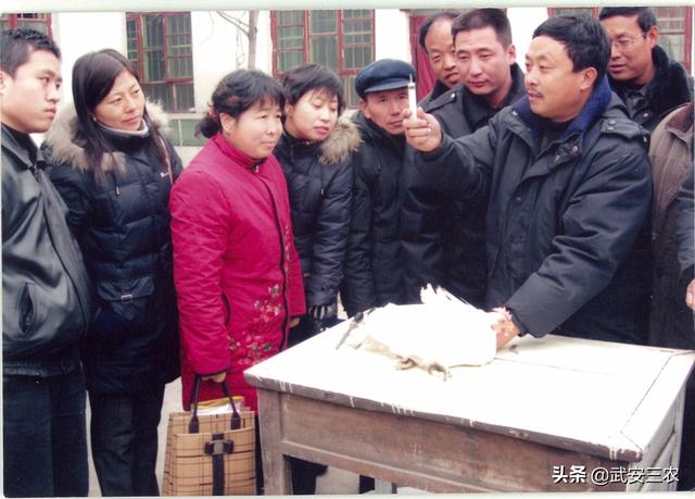建一个年出一万头猪的养殖场需要投资多少钱？