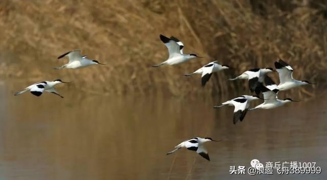 发泄情绪的方法:发泄情绪的方式有哪些呢？